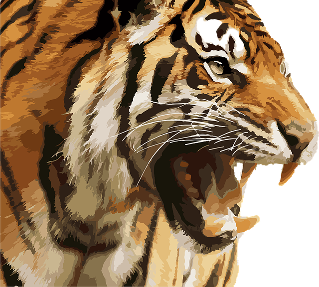 tiger illustration